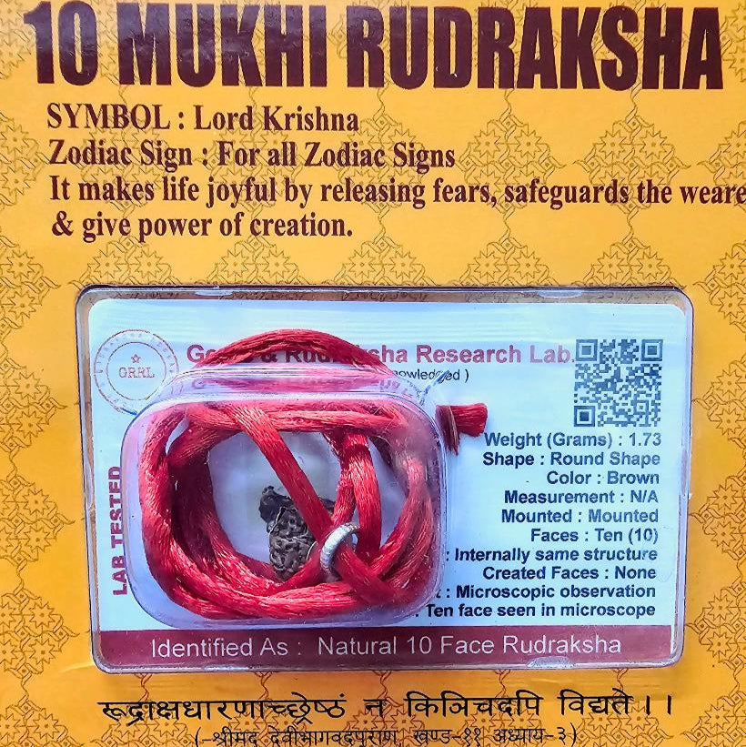 10 MUKHI CERTIFIED RUDRAKSHA For Protection & Peace of mind - Dr. Neeti Kaushik's Shop