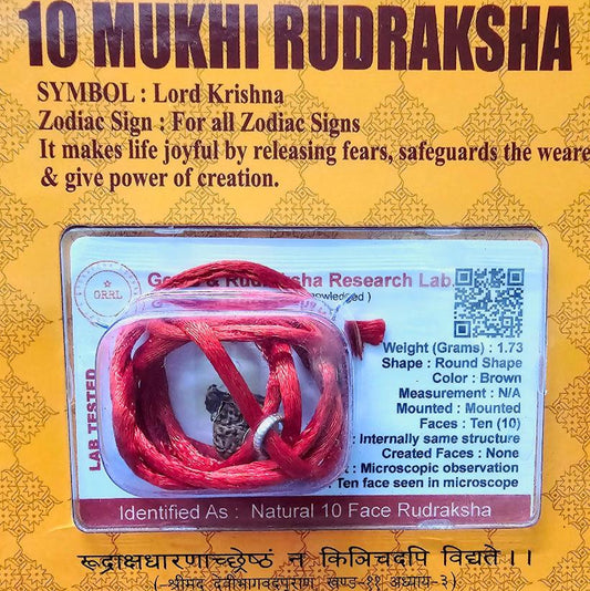 10 MUKHI CERTIFIED RUDRAKSHA For Protection & Peace of mind - Dr. Neeti Kaushik's Shop