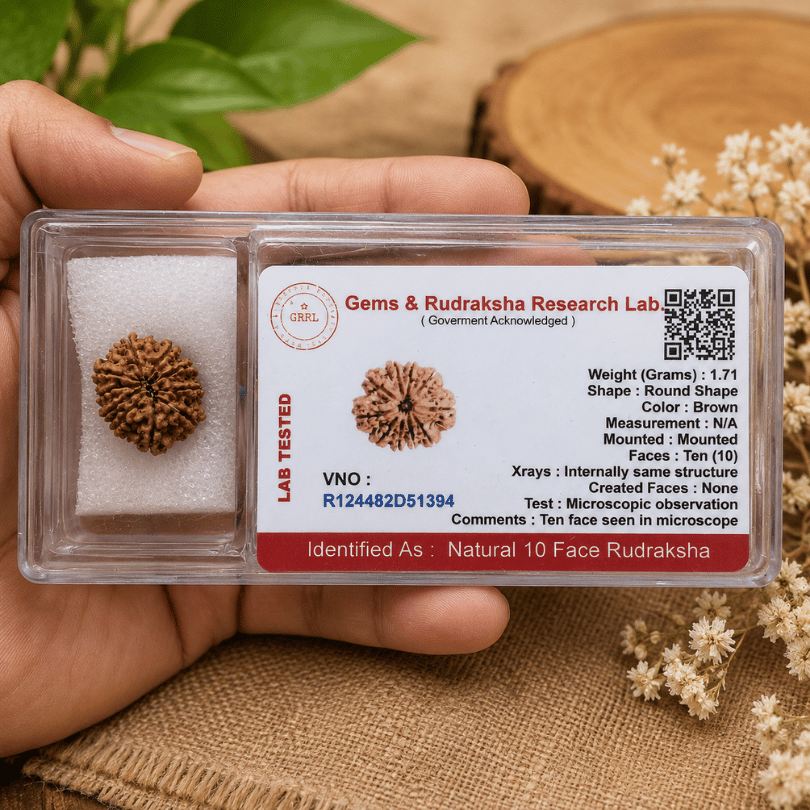 10 MUKHI CERTIFIED NEPALI RUDRAKSHA For Protection & Peace of mind