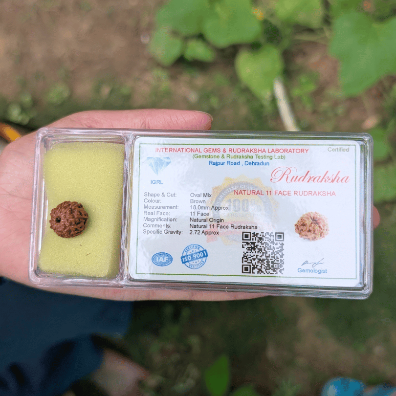 स्पष्ट संचार और आत्मविश्वास के लिए प्रमाणित 11 मुखी रुद्राक्ष