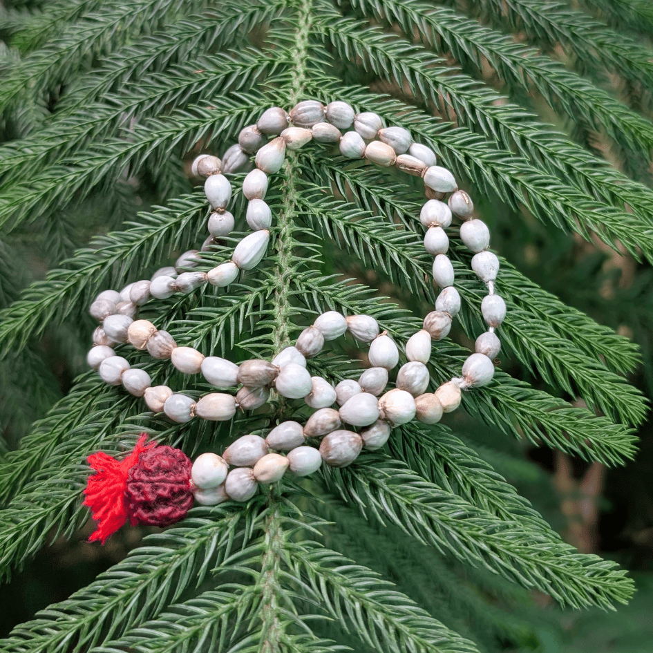 Vaijanti Mala – Symbol of Victory, Devotion & Peace
