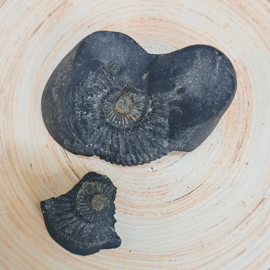 श्री लक्ष्मी नारायण शालिग्राम - दिव्य समृद्धि और सुरक्षा के लिए