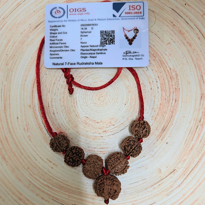 Shani Sade Saati kavach Mala(7 mukhi Rudraksha)