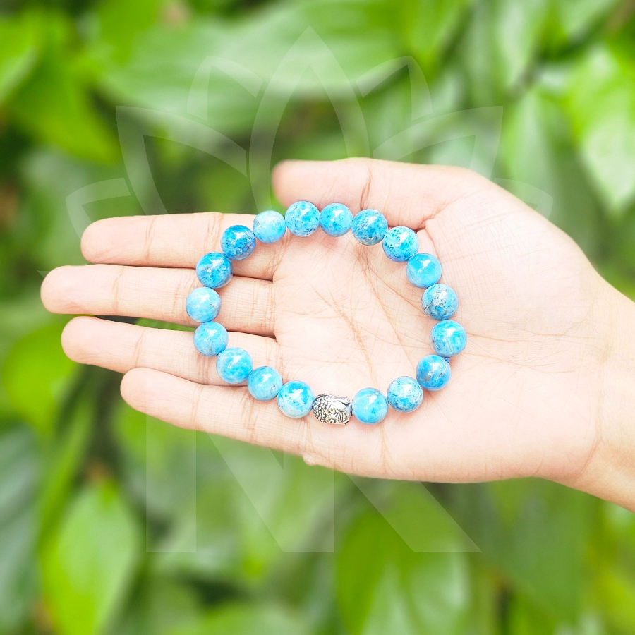 Apatite AAA Quality Bracelet For Manifestation-10mm - Dr. Neeti Kaushik's Shop