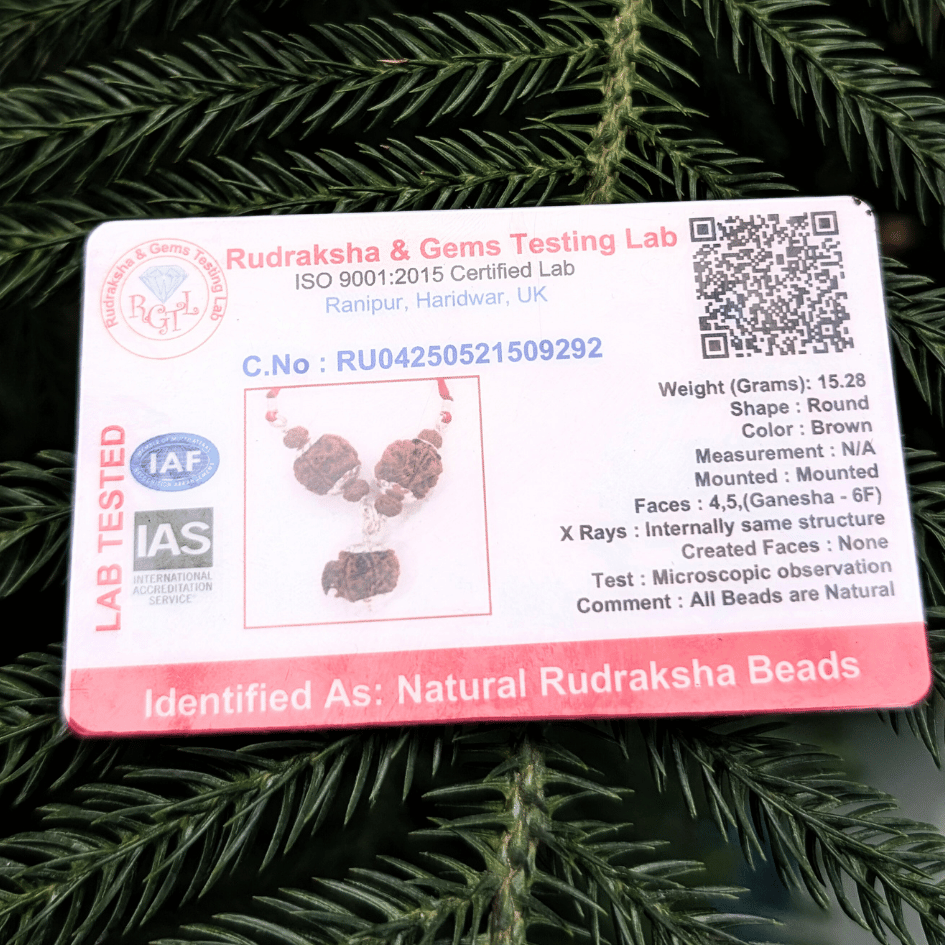 Certified Saraswati Kavach – Blessings for Wisdom & Learning