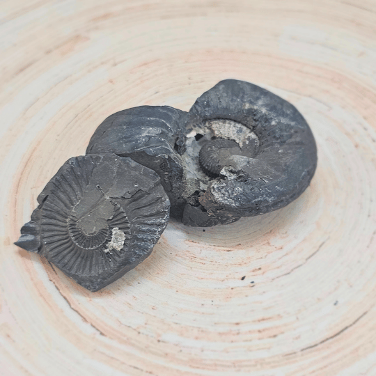 श्री लक्ष्मी नारायण शालिग्राम - दिव्य समृद्धि और सुरक्षा के लिए