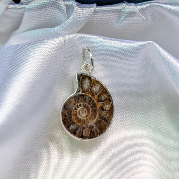 Ammonite fossil pendant in silver setting on a white satin background