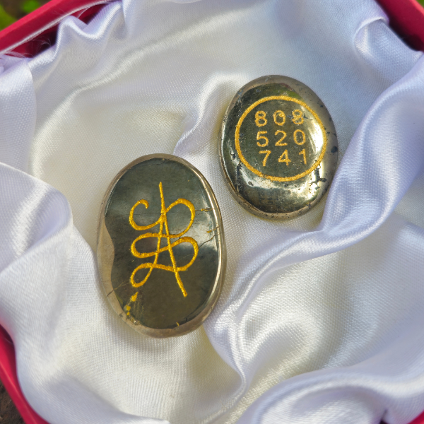 Pyrite Duo Zibu Coin - Dr. Neeti Kaushik's Shop