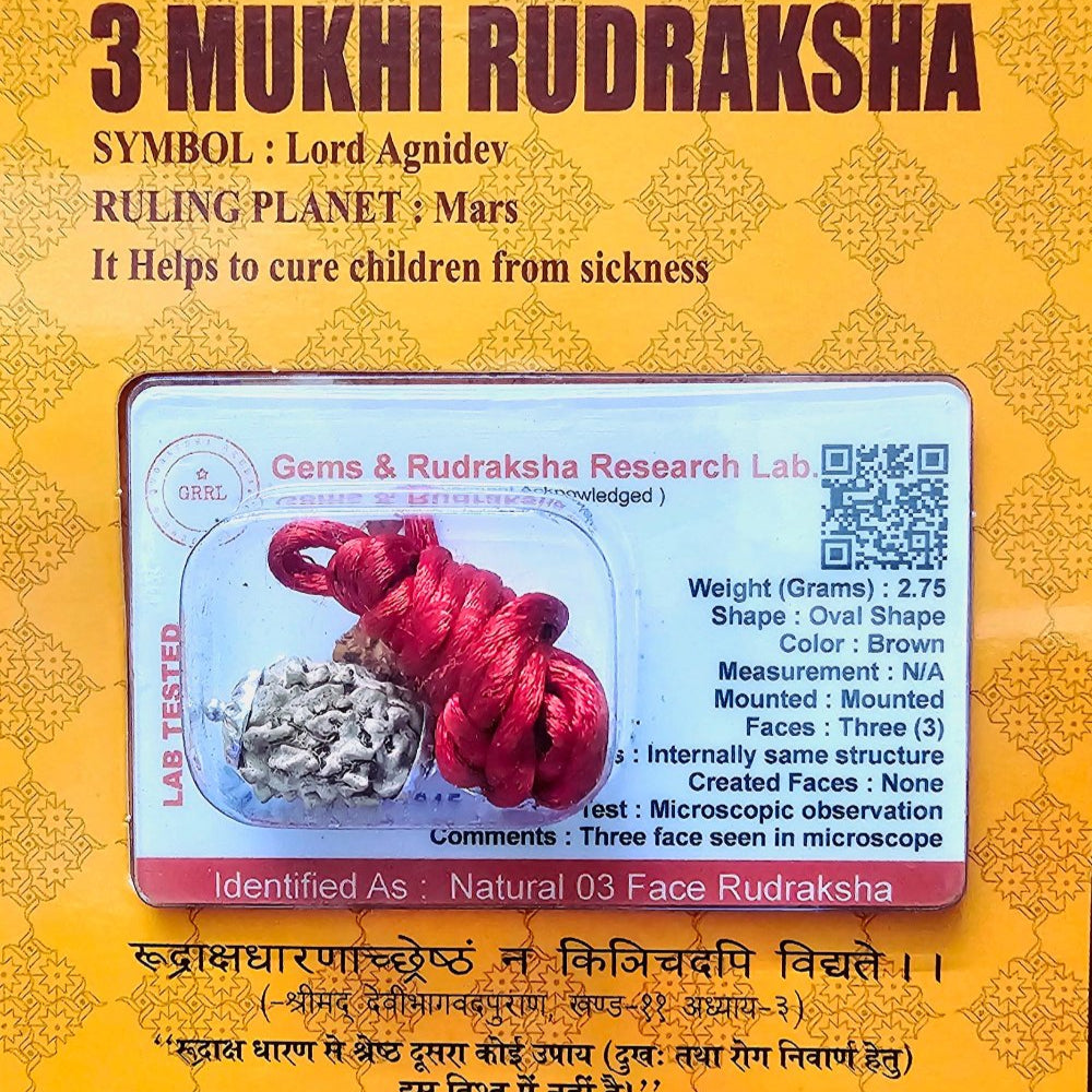 3 MUKHI CERTIFIED RUDRAKSHA For Energy & Self-confidence