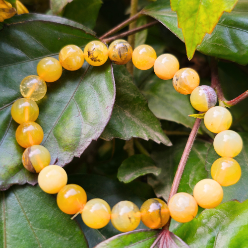 Yellow Opal Bracelet For Personal Transformation-(8mm) - Dr. Neeti Kaushik's Shop