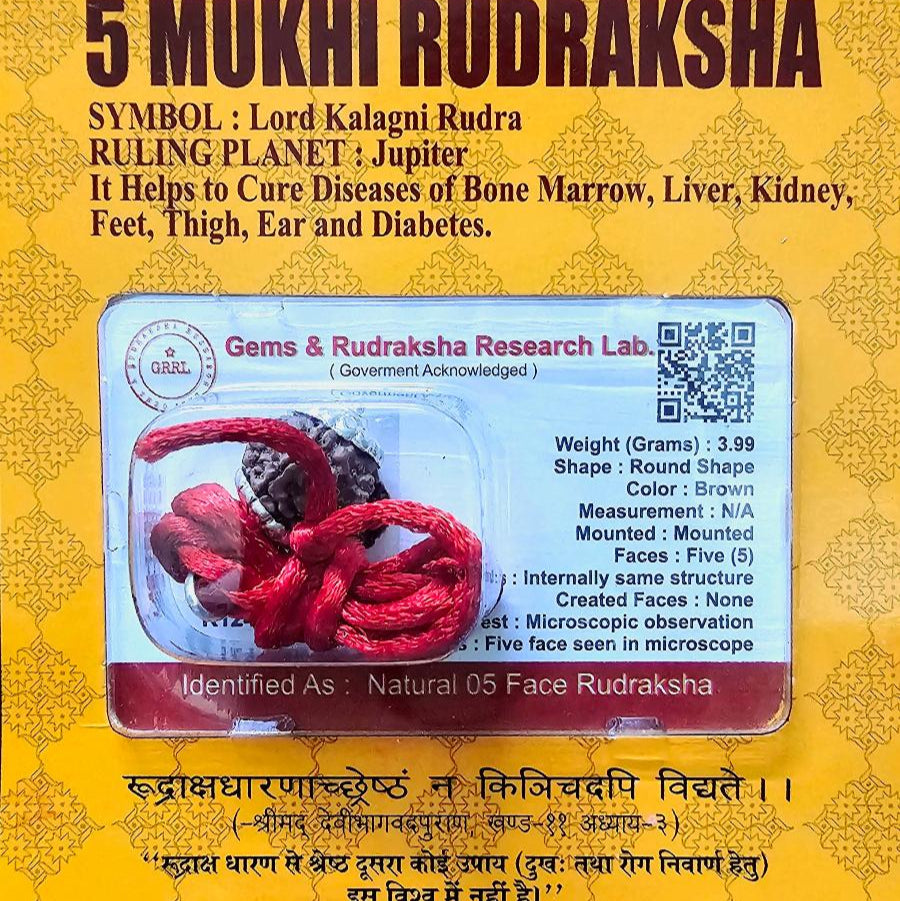 5 MUKHI CERTIFIED RUDRAKSHA For Health & Stress relief