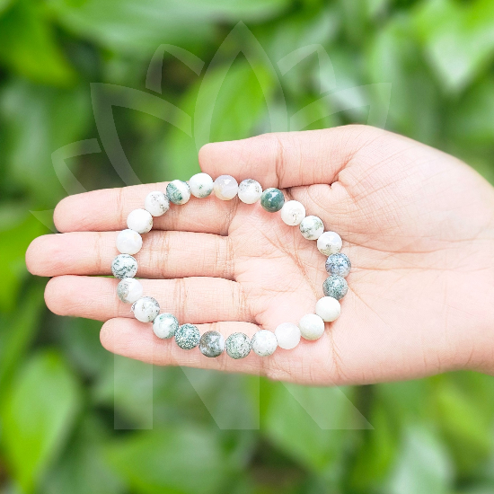 Tree Agate Bracelet For Physical Healing-(8mm) - Dr. Neeti Kaushik's Shop