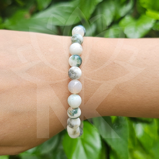 Tree Agate Bracelet For Physical Healing-(8mm) - Dr. Neeti Kaushik's Shop