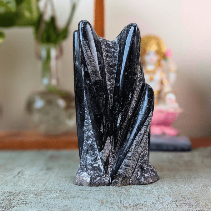 Orthoceras Fossil Free Form Tower For Wisdom & Past-Life Connection