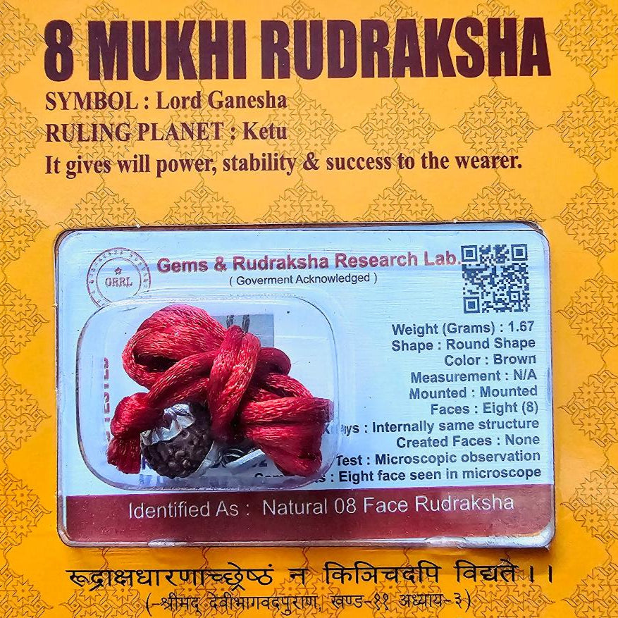 8 MUKHI CERTIFIED RUDRAKSHA For Stability & Willpower