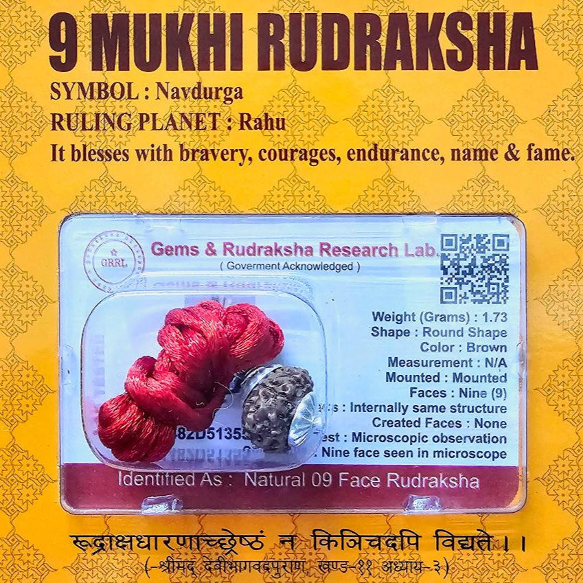 9 MUKHI CERTIFIED RUDRAKSHA For Dynamism & Fearlessness - Dr. Neeti Kaushik's Shop