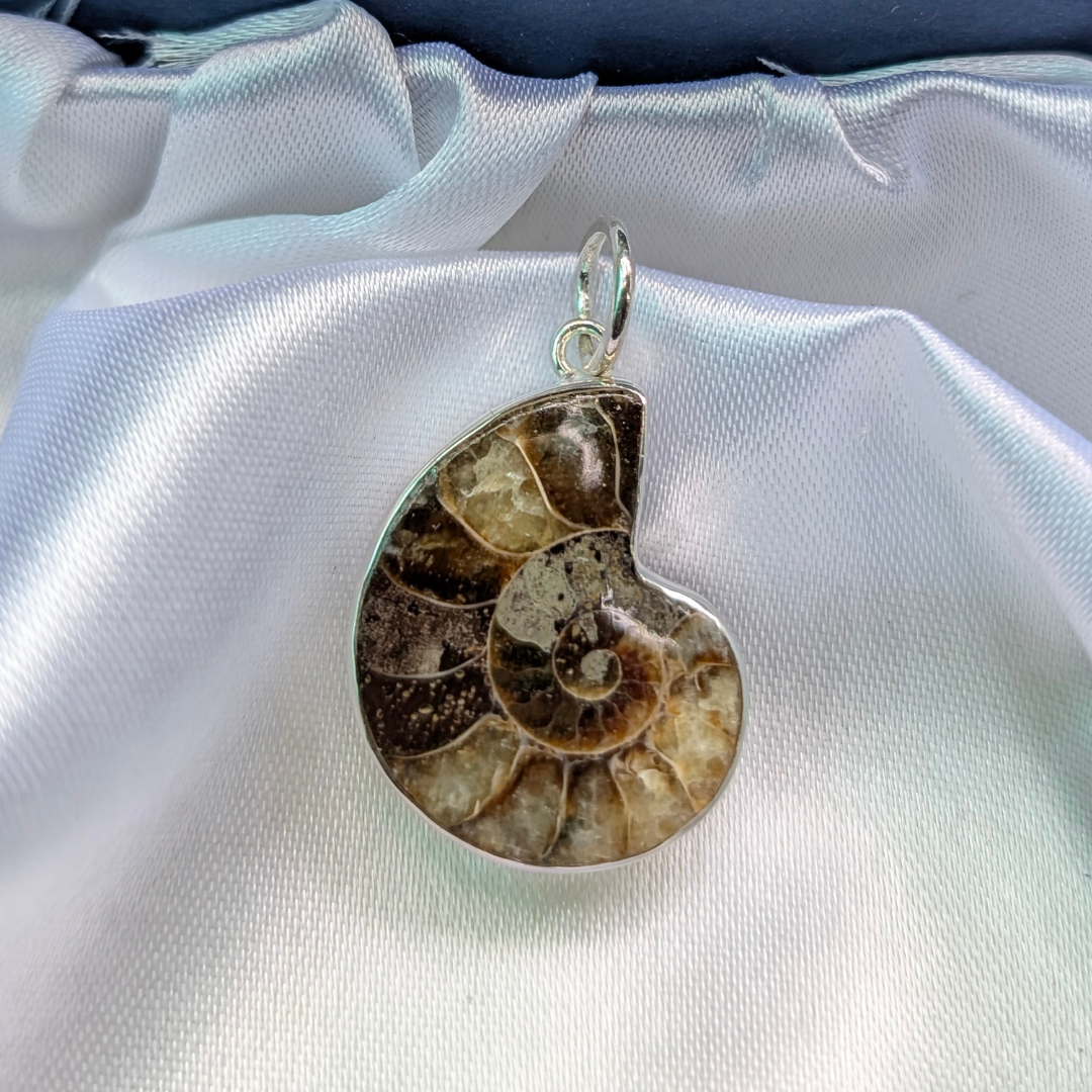 Fossilized ammonite pendant on a silver chain against a white satin background