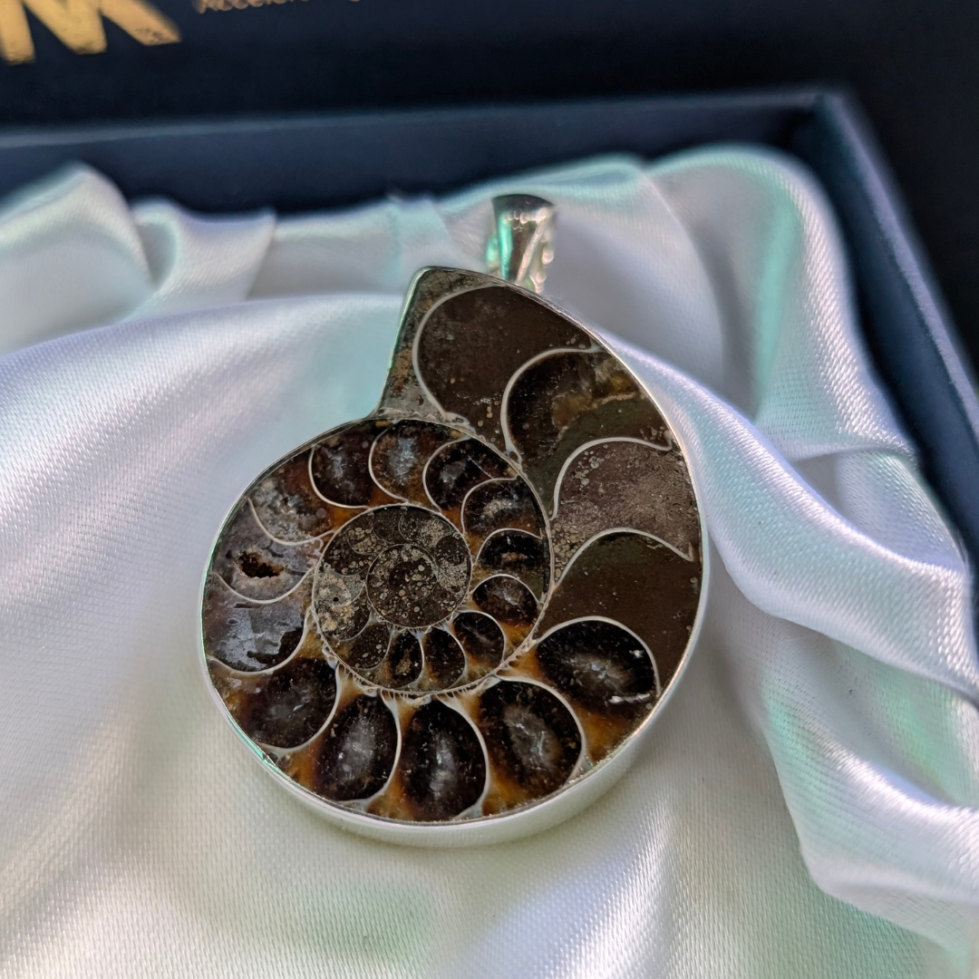 Ammonite Fosil Pendant-Ancient Energy • Wealth Magnet • Spiritual Evolution