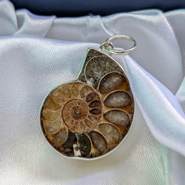 Ammonite fossil pendant on a silver chain against a white fabric background