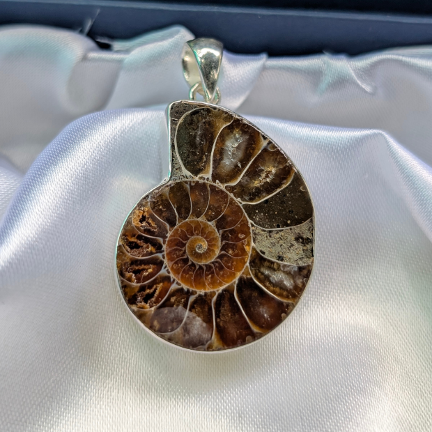 Fossilized ammonite pendant on a silver chain against a white satin background