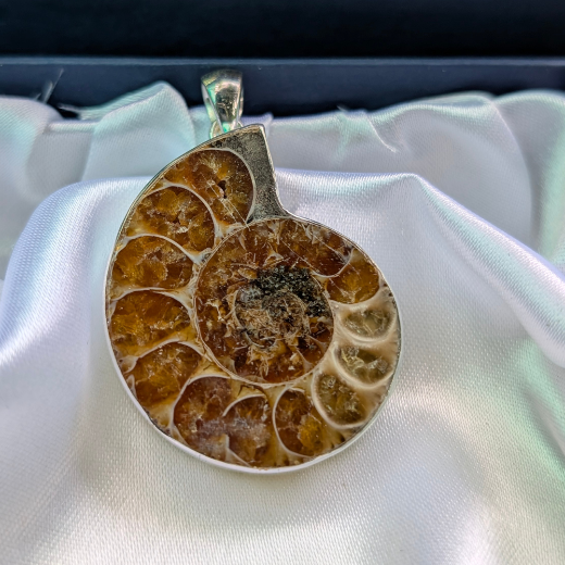 Fossilized ammonite pendant in a silver setting on a white fabric background