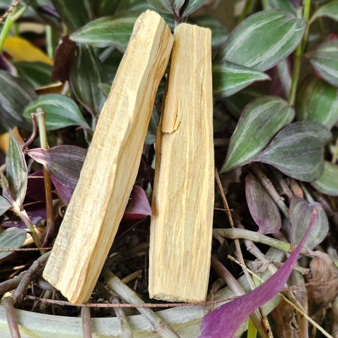 Palo Santo Stick Duo For Cleansing Crystals - Dr. Neeti Kaushik's Shop