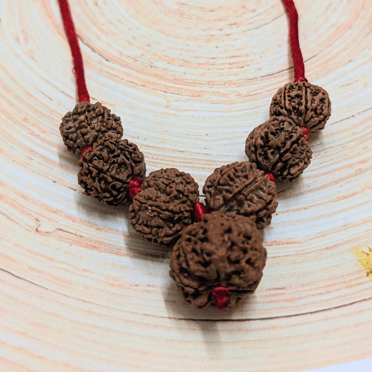 Shani Sade Saati kavach Mala(7 mukhi Rudraksha)