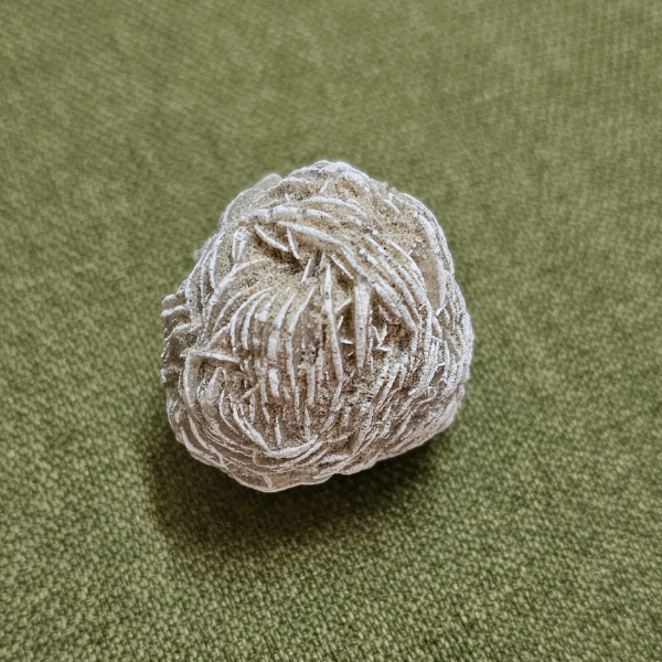 Desert Rose For Skin Issues - Dr. Neeti Kaushik's Shop