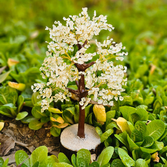 Clear Quartz Tree For Positive Vibrations - Dr. Neeti Kaushik's Shop