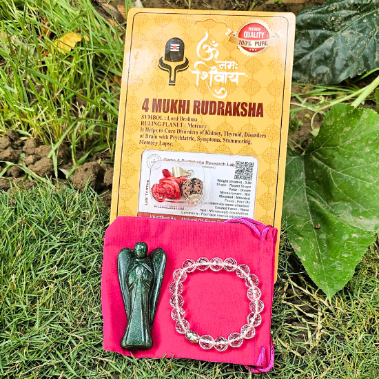 Success Kit - Job/Exams/Career - Dr. Neeti Kaushik's Shop