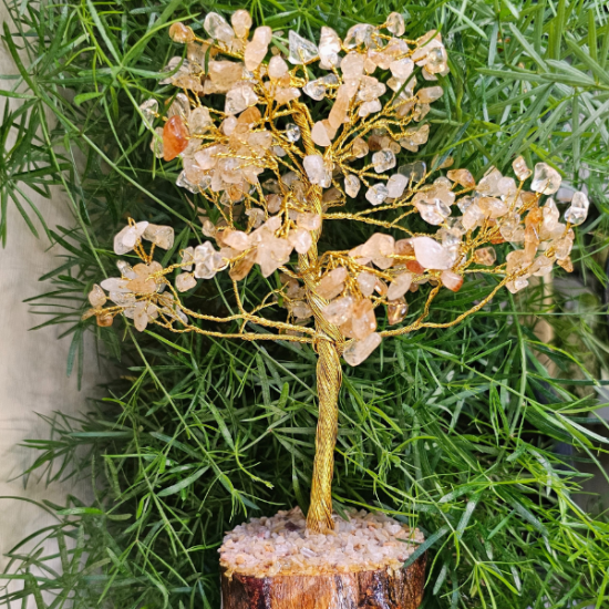 Citrine Tree For Good Fortune - Main Image