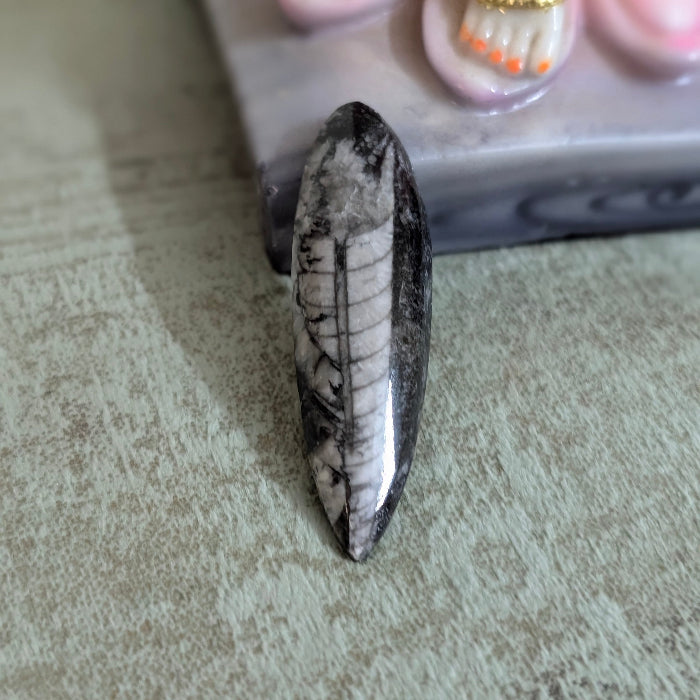 Polished stone with black and white pattern on a textured surface
