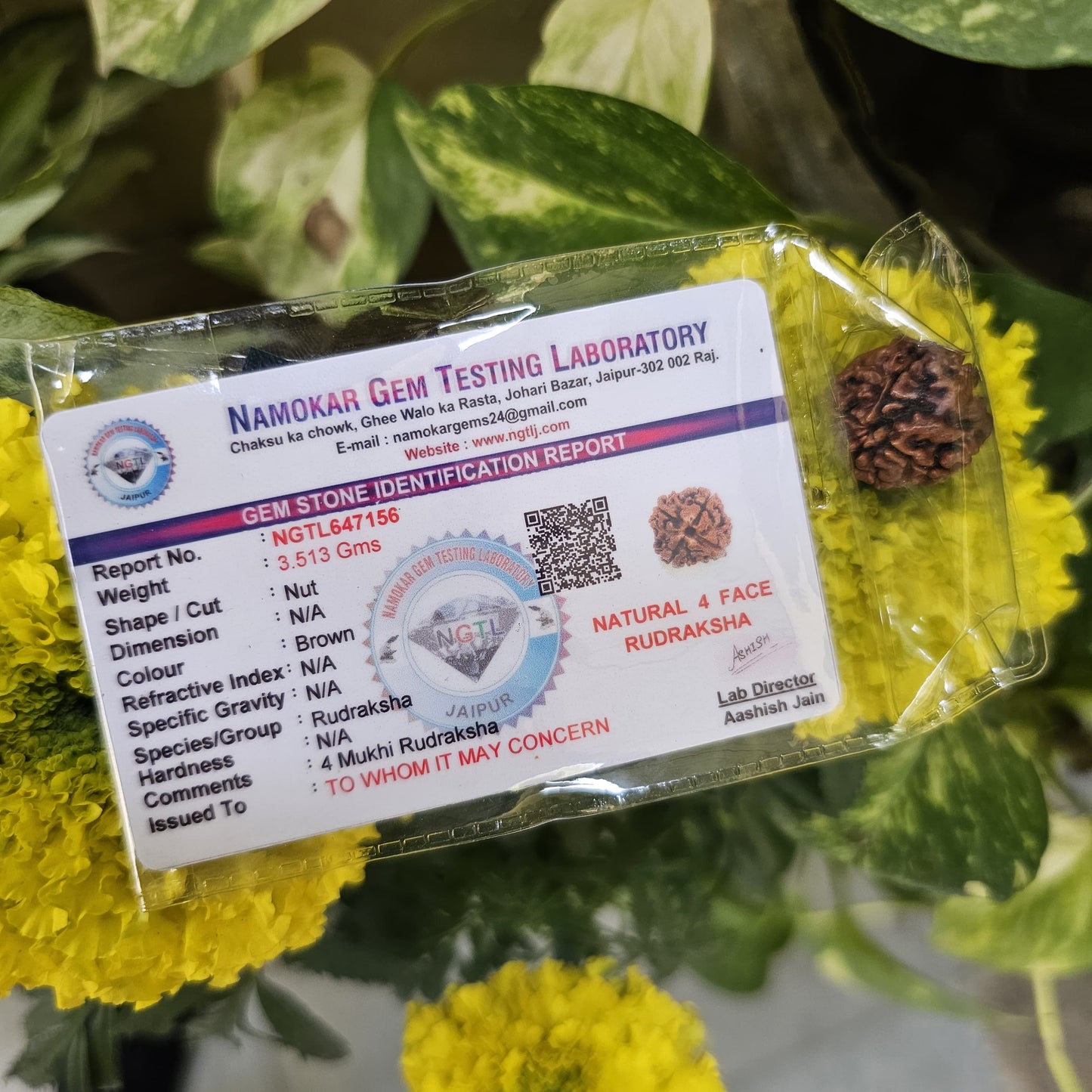 4 MUKHI CERTIFIED RUDRAKSHA For Wisdom & Creativity