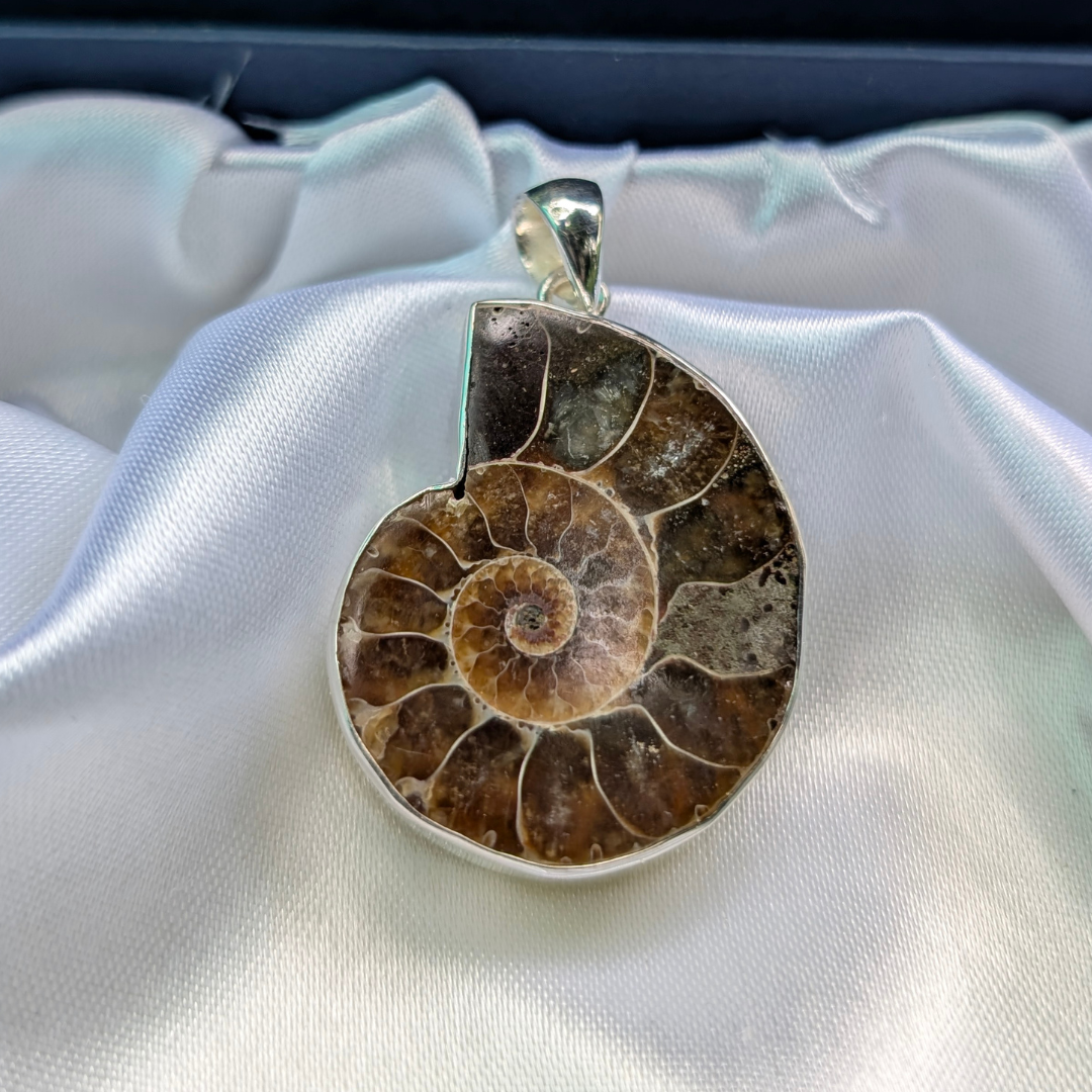ammonite Silver Pendant - Ancient Energy • Wealth Magnet • Spiritual Evolution