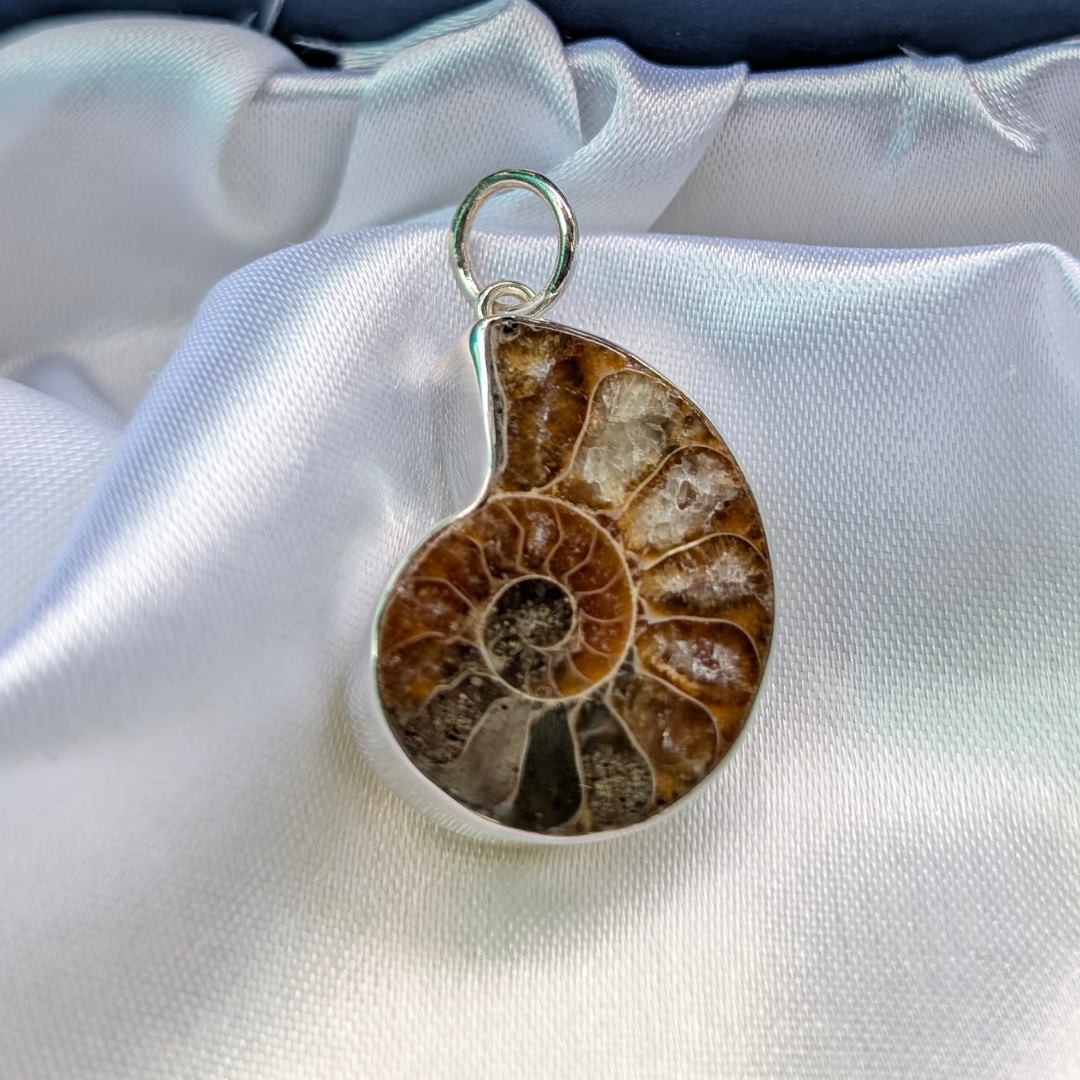 Fossil pendant on a white fabric background