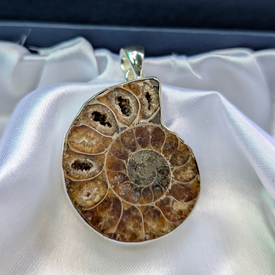 Fossilized ammonite pendant - Ancient Energy • Wealth Magnet • Spiritual Evolution
