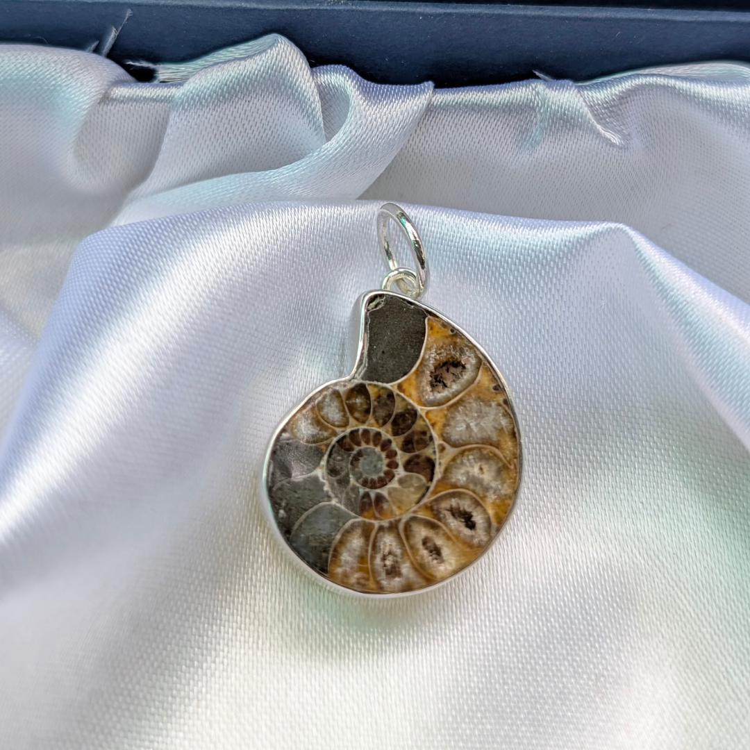 ammonite pendant - Ancient Energy • Wealth Magnet • Spiritual Evolution