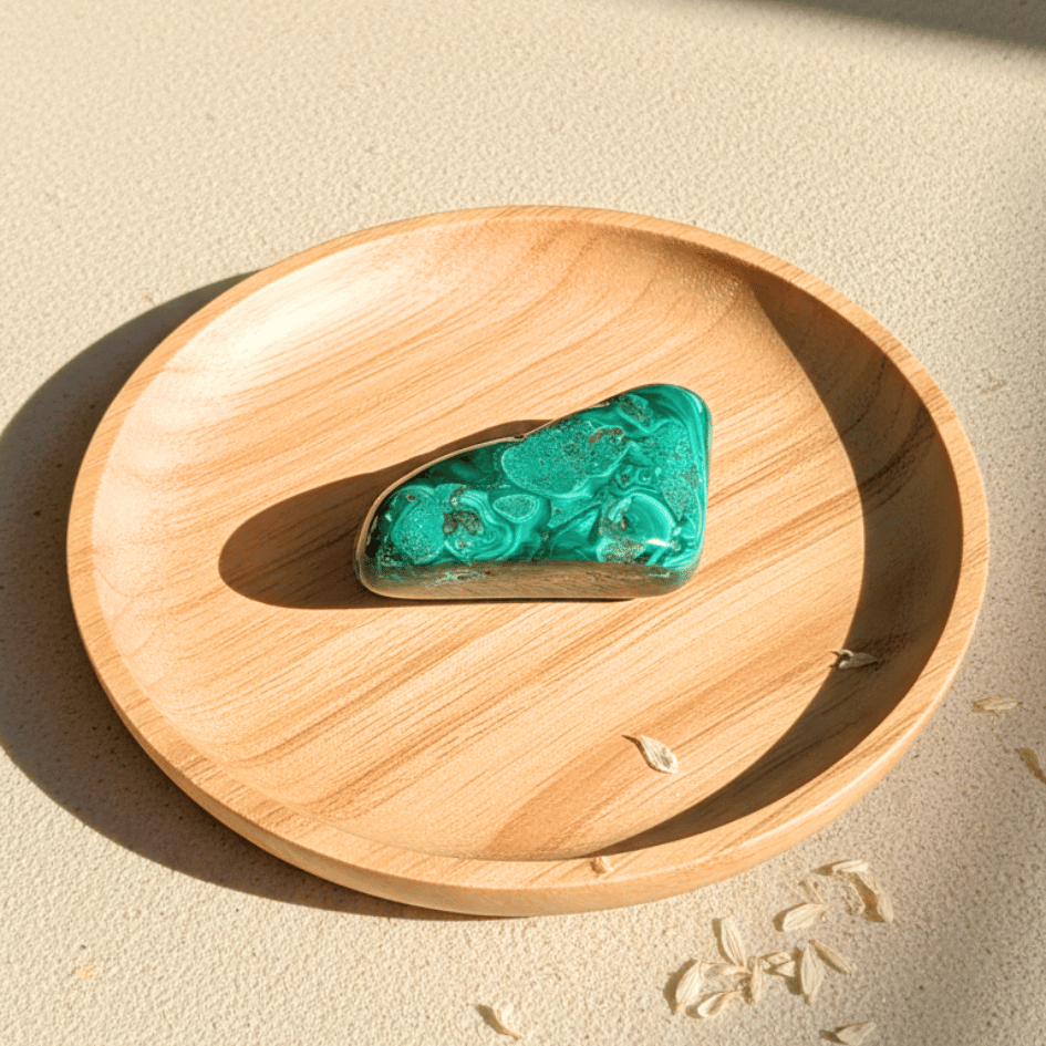 november Born Abundance Kit