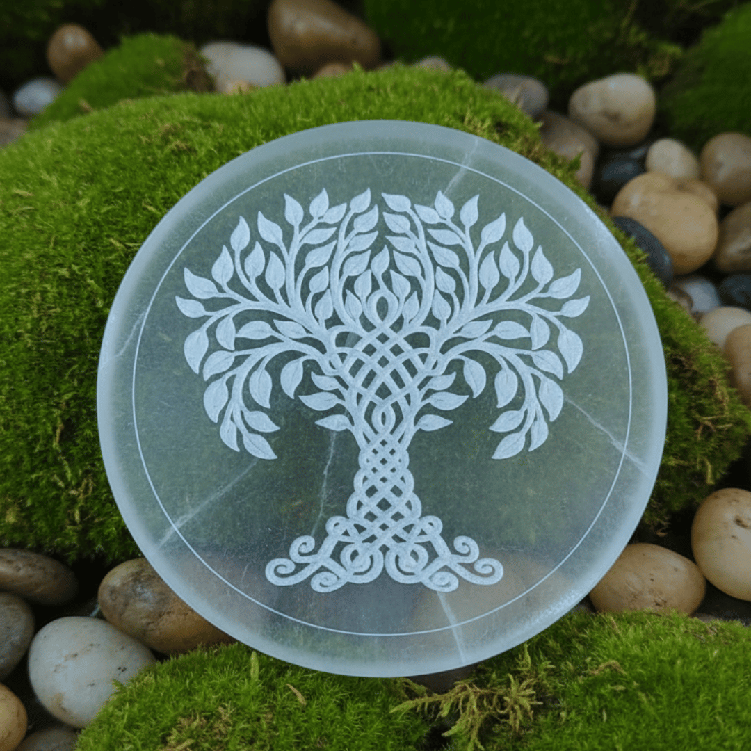 Selenite Export Quality Plate (10 cm) For Crystals Recharge