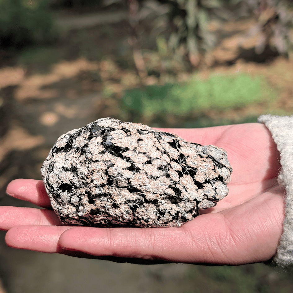 Snowflake Obsidian Natural  Crystal– Calming, Purification & Emotional Balance