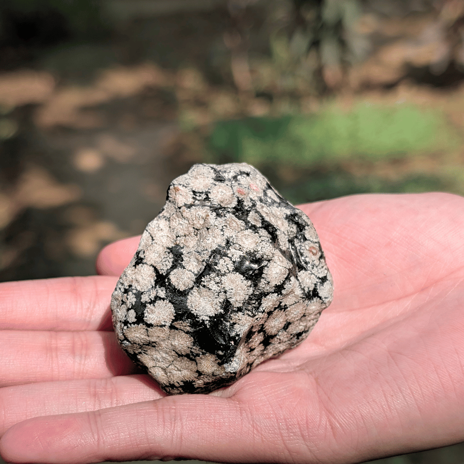 Snowflake Obsidian Natural  Crystal– Calming, Purification & Emotional Balance