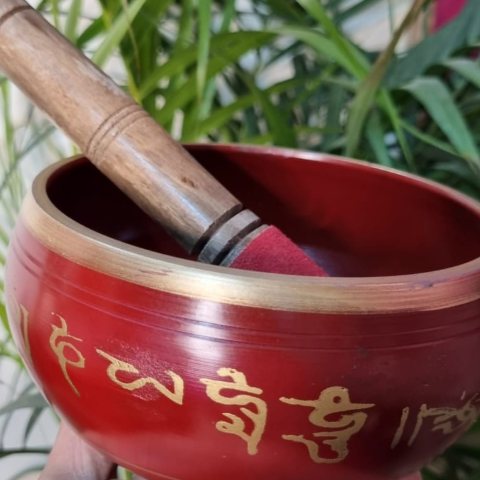 Singing Bowl With Stick For Healing Practices - Dr. Neeti Kaushik's Shop