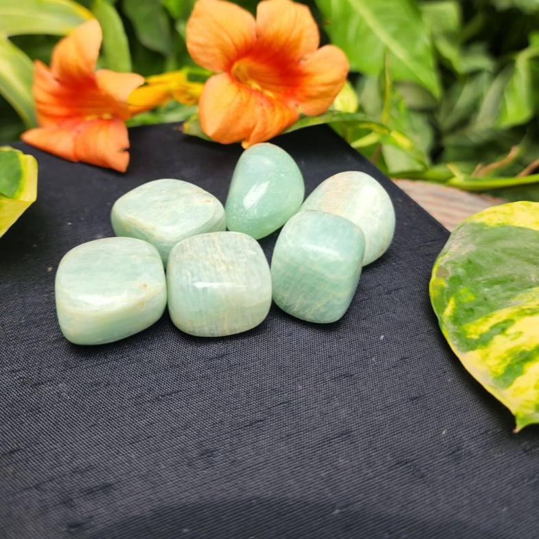 Amazonite Tumble Duo For Promotes Positive Vibes - Dr. Neeti Kaushik's Shop