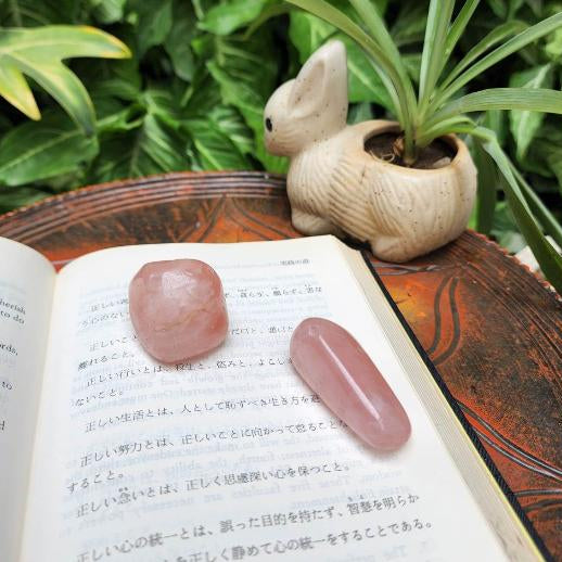 Rose Quartz Tumbles Duo For Positive Energy Flow - Dr. Neeti Kaushik's Shop