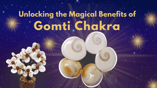 Unlocking the Magical Benefits of Gomati Chakra: Protection, Prosperity & Peace