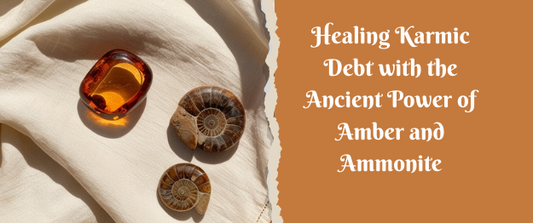 Healing Karmic Debt with the Ancient Power of Amber and Ammonite - Dr. Neeti Kaushik's Shop