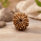 10 MUKHI CERTIFIED NEPALI RUDRAKSHA For Protection & Peace of mind