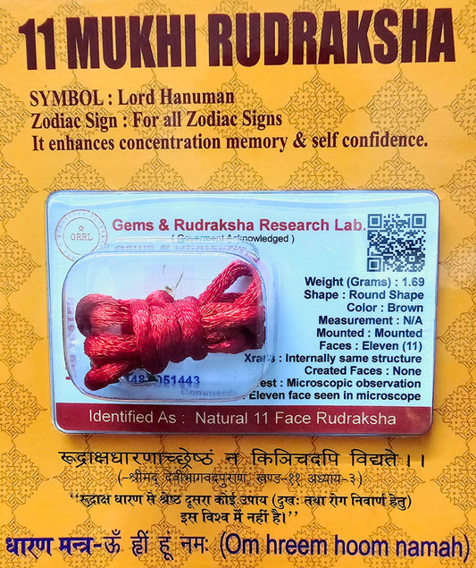 11 Mukhi Rudraksha For Clear Communication & Confidence