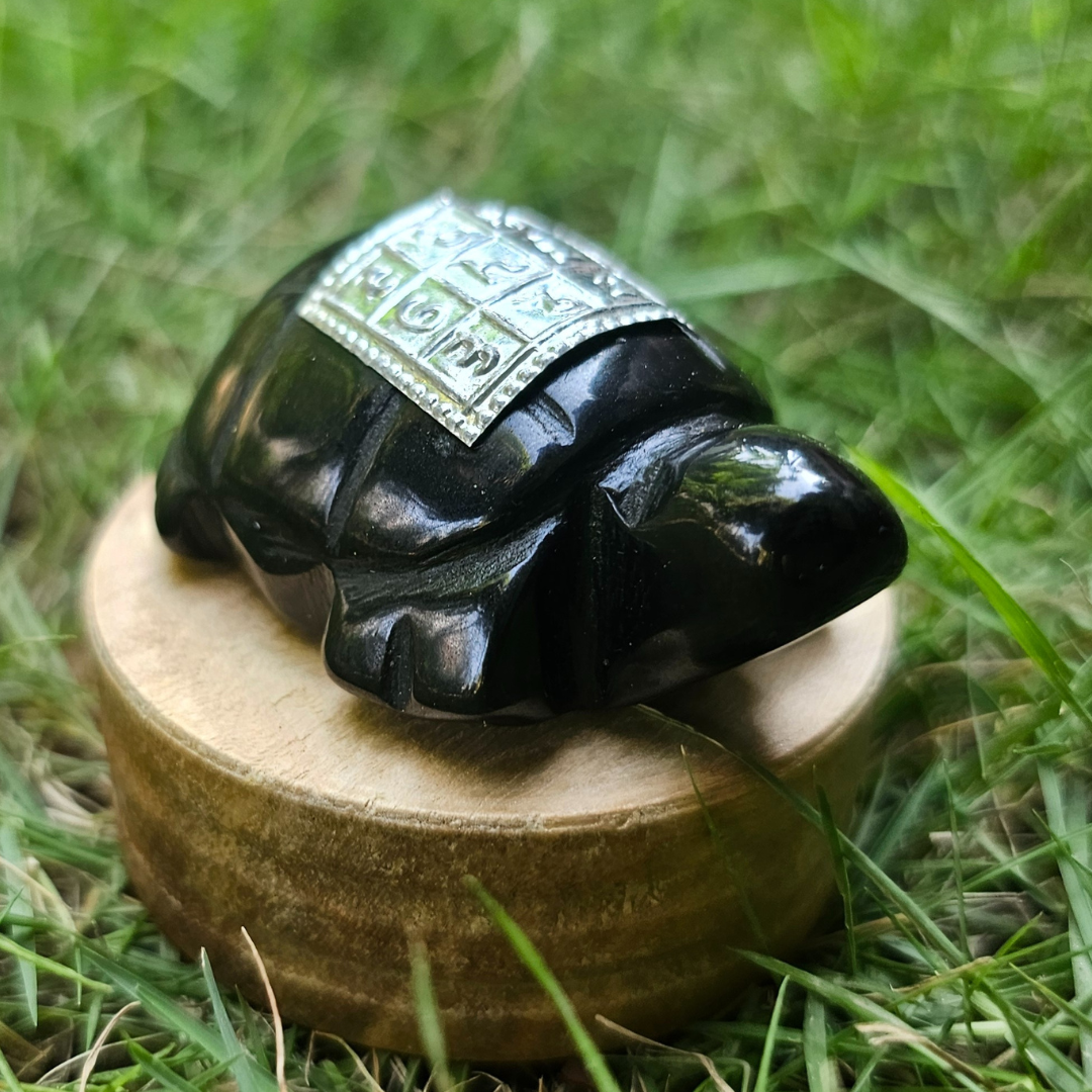 Black Tourmaline Turtle with Sarv Kasht Nivaran Yantra