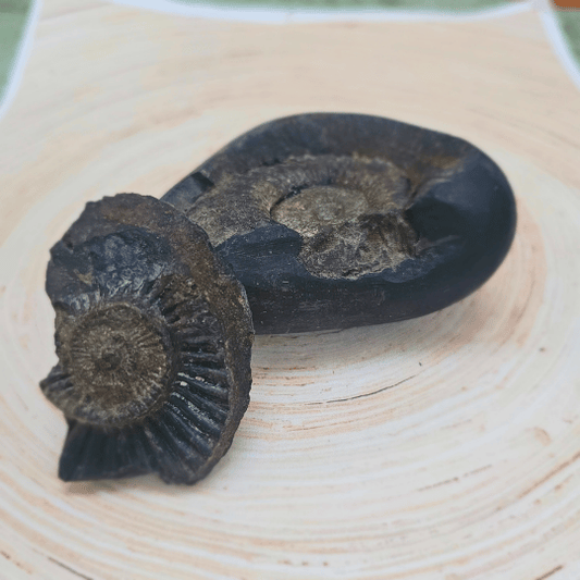 Shri Laxmi Narayan Shaligram – For Divine Abundance and Protection